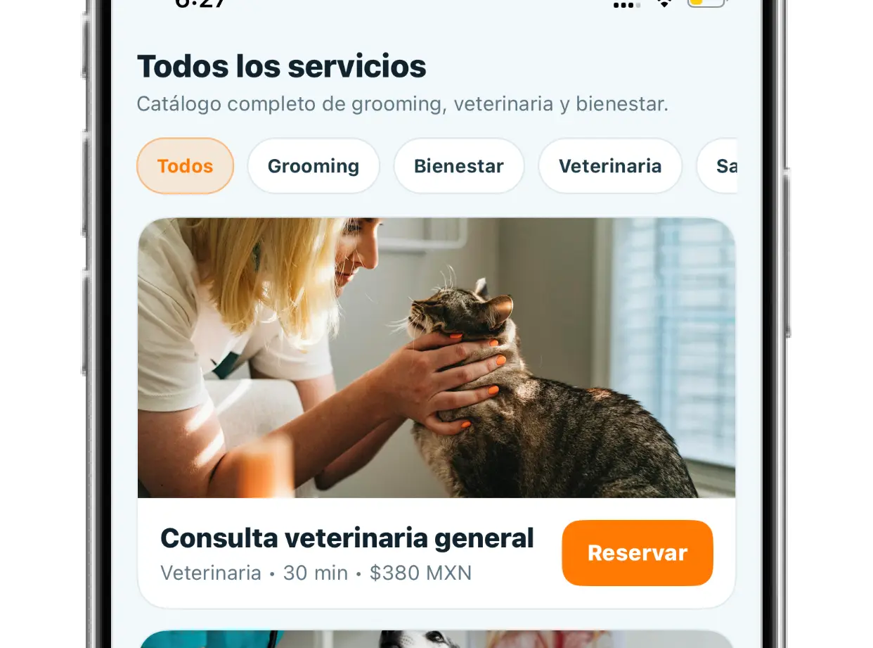 Schedule Go preview 2